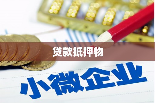 伽师贷款抵押物