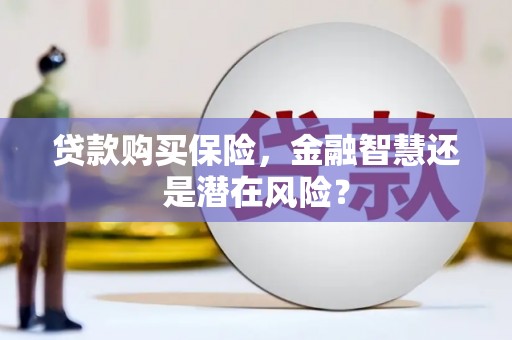 伽师贷款购买保险，金融智慧还是潜在风险？