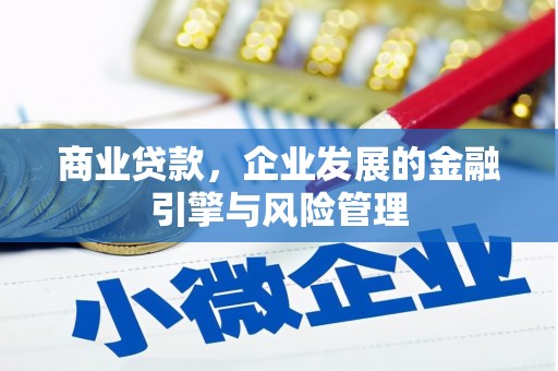 伽师商业贷款，企业发展的金融引擎与风险管理