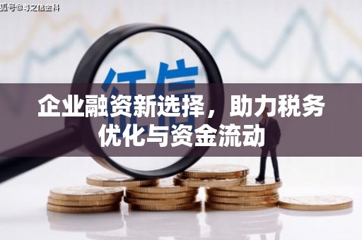 伽师企业融资新选择，助力税务优化与资金流动