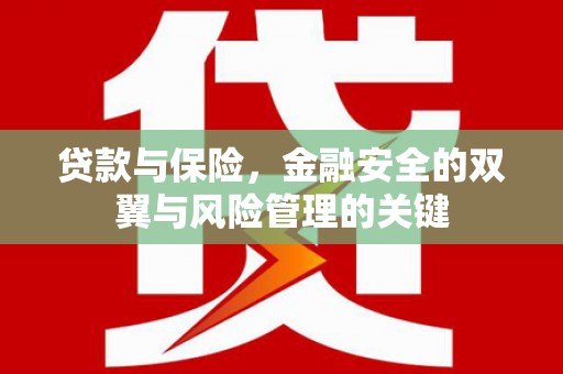 伽师贷款与保险，金融安全的双翼与风险管理的关键