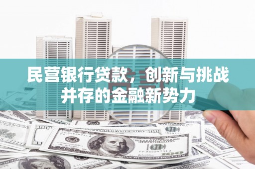 伽师民营银行贷款，创新与挑战并存的金融新势力