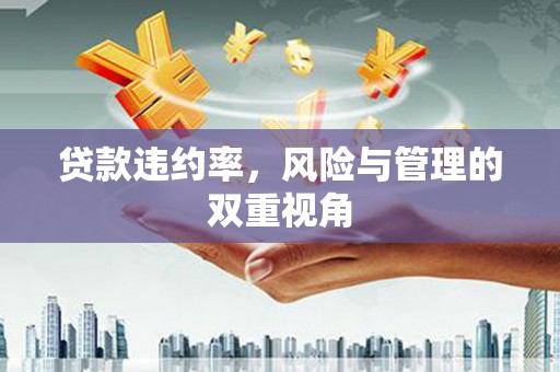 伽师贷款违约率，风险与管理的双重视角