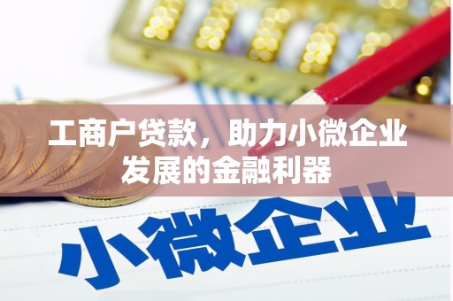 伽师工商户贷款，助力小微企业发展的金融利器
