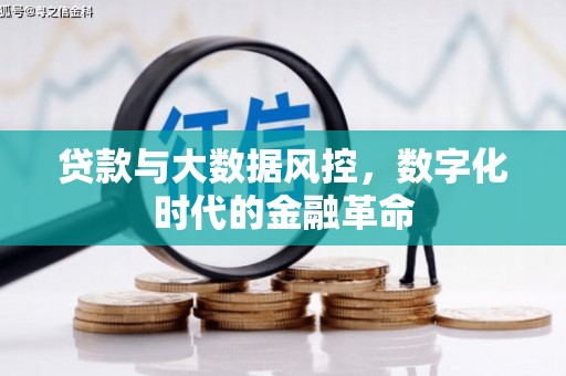 伽师贷款与大数据风控，数字化时代的金融革命