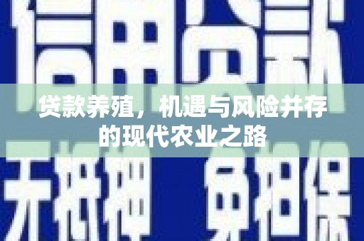 伽师贷款养殖，机遇与风险并存的现代农业之路