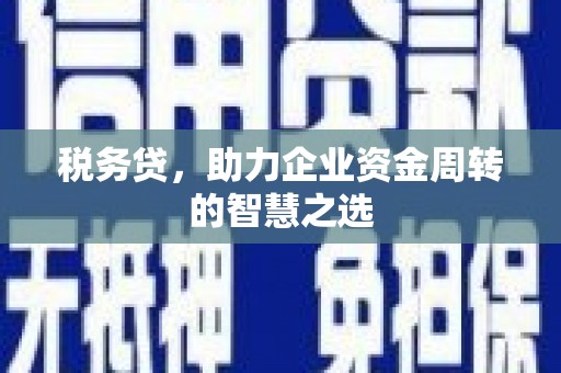 伽师税务贷，助力企业资金周转的智慧之选