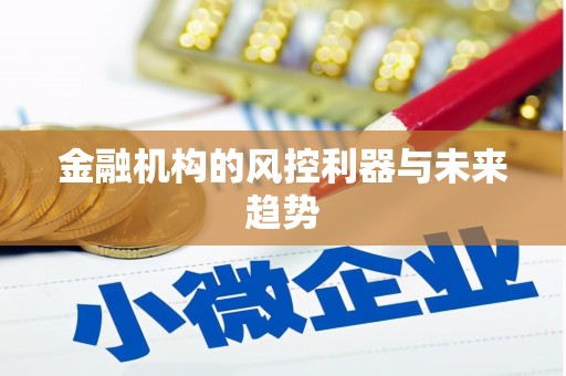 伽师金融机构的风控利器与未来趋势