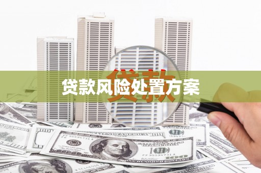 伽师贷款风险处置方案