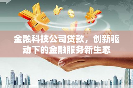 伽师金融科技公司贷款，创新驱动下的金融服务新生态