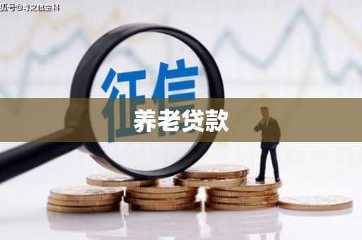 伽师养老贷款