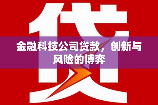 伽师金融科技公司贷款，创新与风险的博弈
