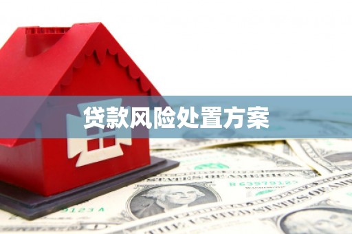 伽师贷款风险处置方案