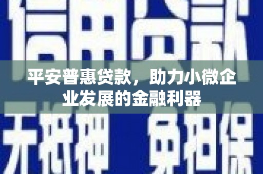 伽师平安普惠贷款，助力小微企业发展的金融利器