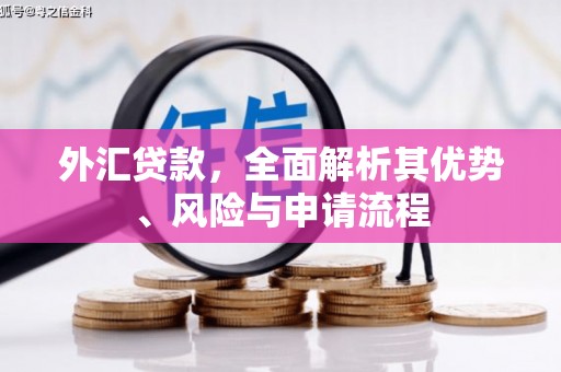 伽师外汇贷款，全面解析其优势、风险与申请流程