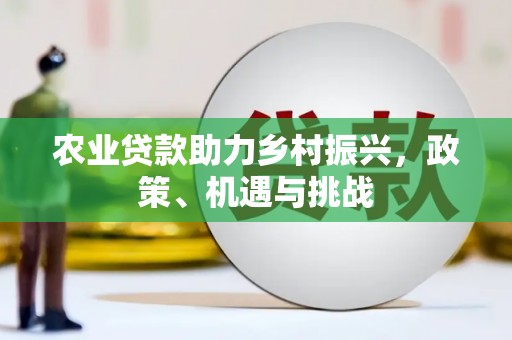 伽师农业贷款助力乡村振兴，政策、机遇与挑战