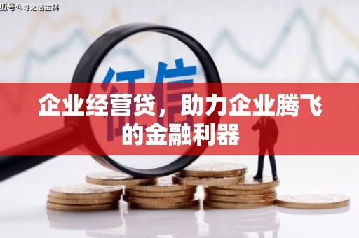 伽师企业经营贷，助力企业腾飞的金融利器