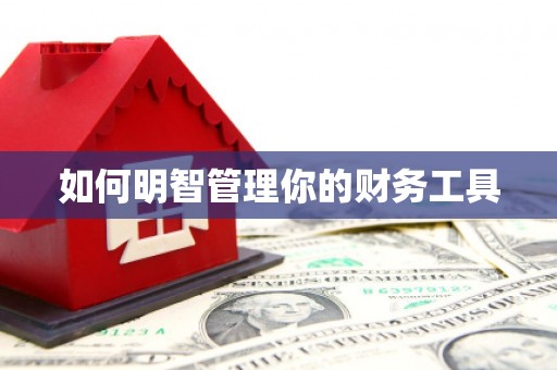 伽师如何明智管理你的财务工具