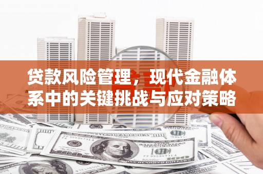 伽师贷款风险管理，现代金融体系中的关键挑战与应对策略