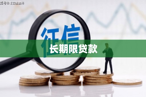 伽师长期限贷款