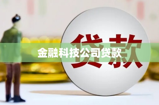 伽师金融科技公司贷款