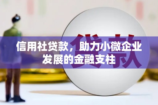 伽师信用社贷款，助力小微企业发展的金融支柱