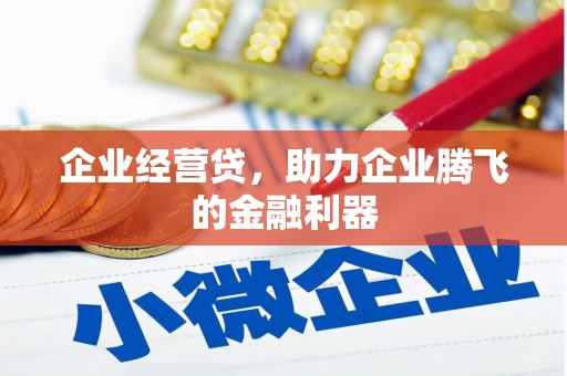 伽师企业经营贷，助力企业腾飞的金融利器