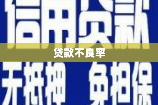 伽师贷款不良率