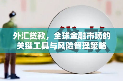 伽师外汇贷款，全球金融市场的关键工具与风险管理策略