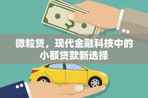 伽师微粒贷，现代金融科技中的小额贷款新选择