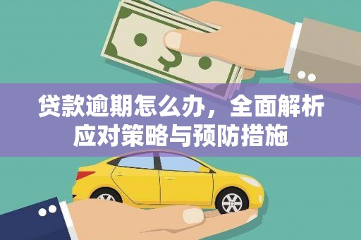 伽师贷款逾期怎么办，全面解析应对策略与预防措施