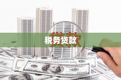 伽师税务贷款