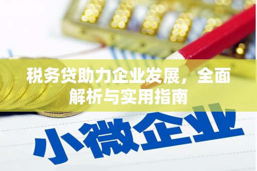 伽师税务贷助力企业发展，全面解析与实用指南