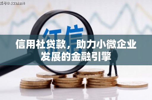 伽师信用社贷款，助力小微企业发展的金融引擎