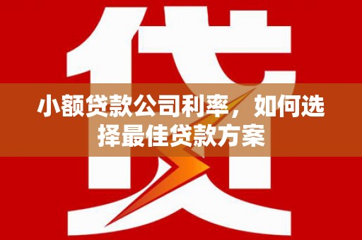 伽师小额贷款公司利率，如何选择最佳贷款方案