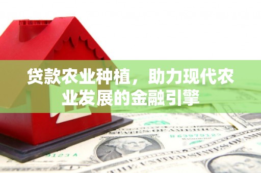伽师贷款农业种植，助力现代农业发展的金融引擎