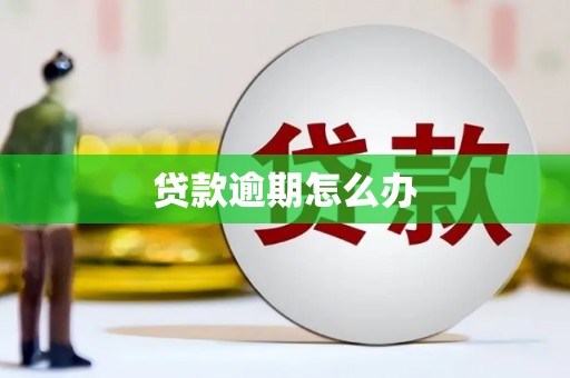 伽师贷款逾期怎么办