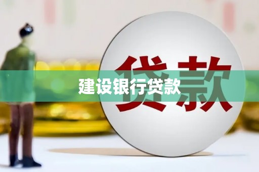 伽师建设银行贷款