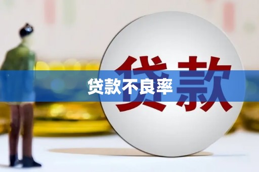 伽师贷款不良率