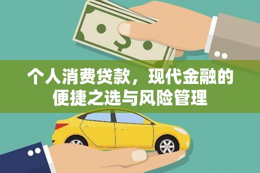 伽师个人消费贷款，现代金融的便捷之选与风险管理