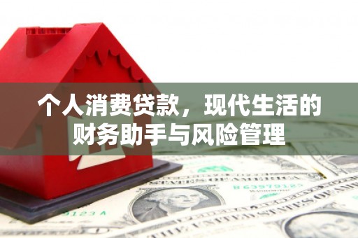 伽师个人消费贷款，现代生活的财务助手与风险管理