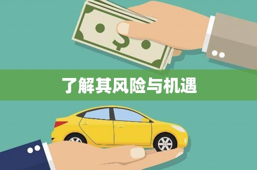 伽师了解其风险与机遇