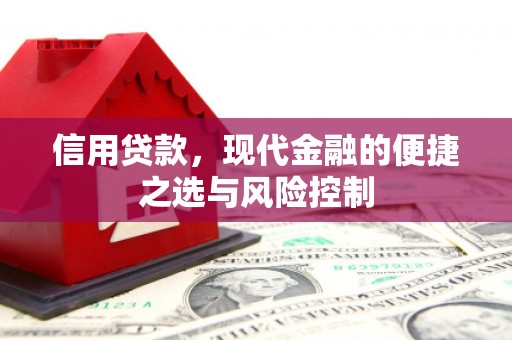 伽师信用贷款，现代金融的便捷之选与风险控制