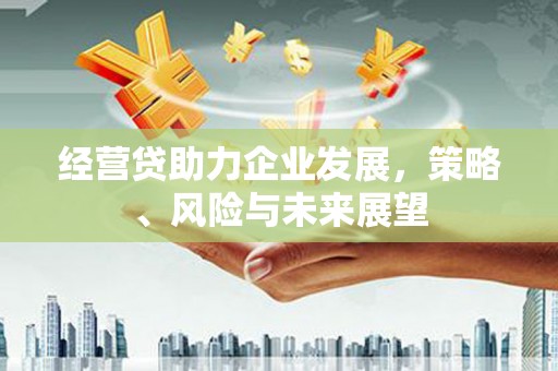 伽师经营贷助力企业发展，策略、风险与未来展望