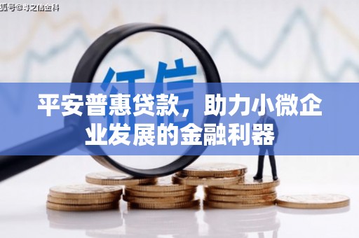 伽师平安普惠贷款，助力小微企业发展的金融利器