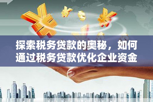 伽师探索税务贷款的奥秘，如何通过税务贷款优化企业资金流