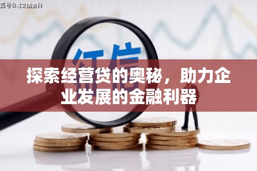 伽师探索经营贷的奥秘，助力企业发展的金融利器