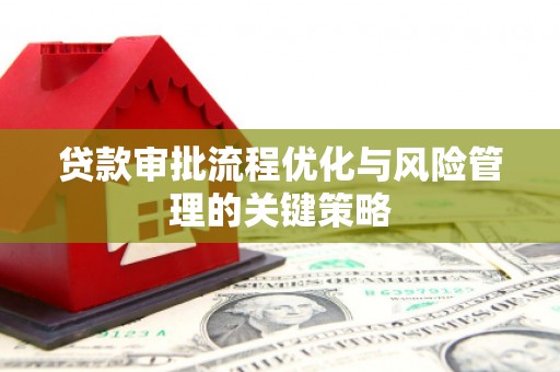 伽师贷款审批流程优化与风险管理的关键策略