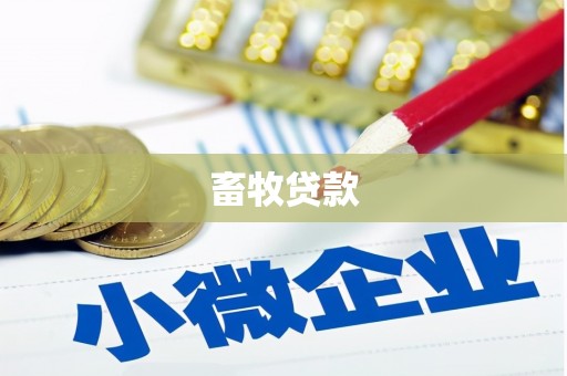 伽师畜牧贷款