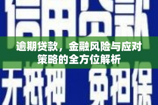 伽师逾期贷款，金融风险与应对策略的全方位解析